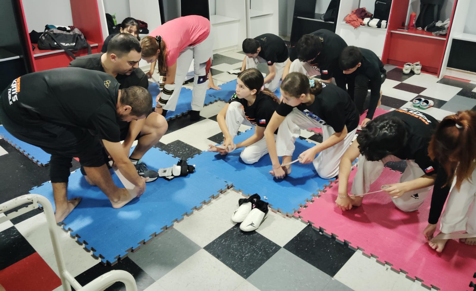 Jornada de Cuidados y Prevención en Taekwondo Kims Ñuble