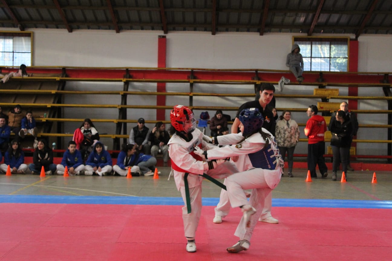 Galería 4