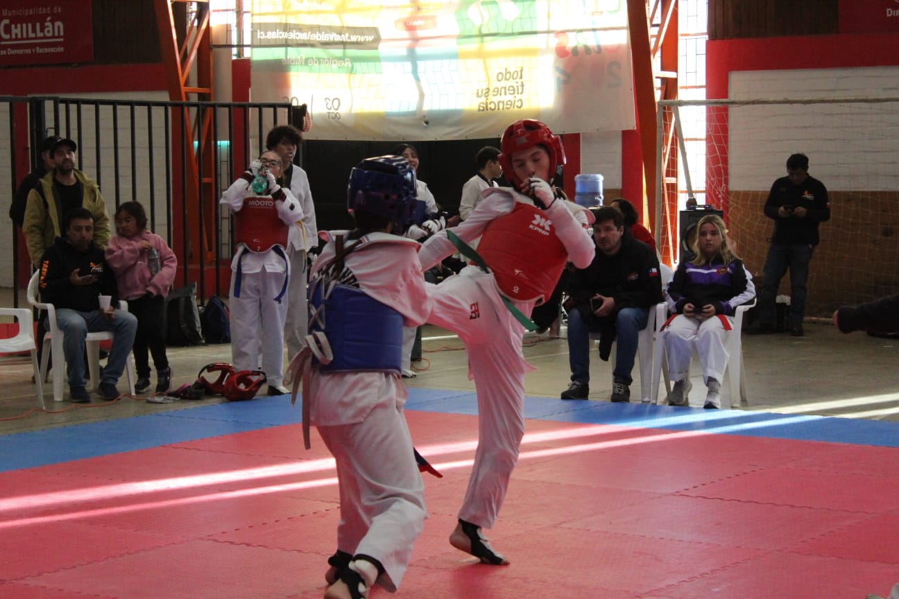 Galería 14