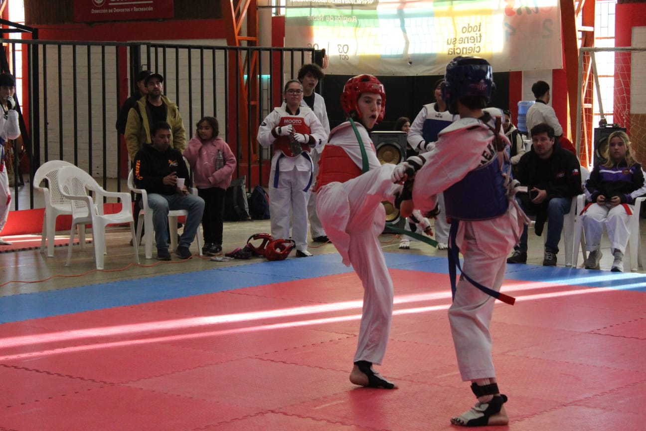 Galería 15