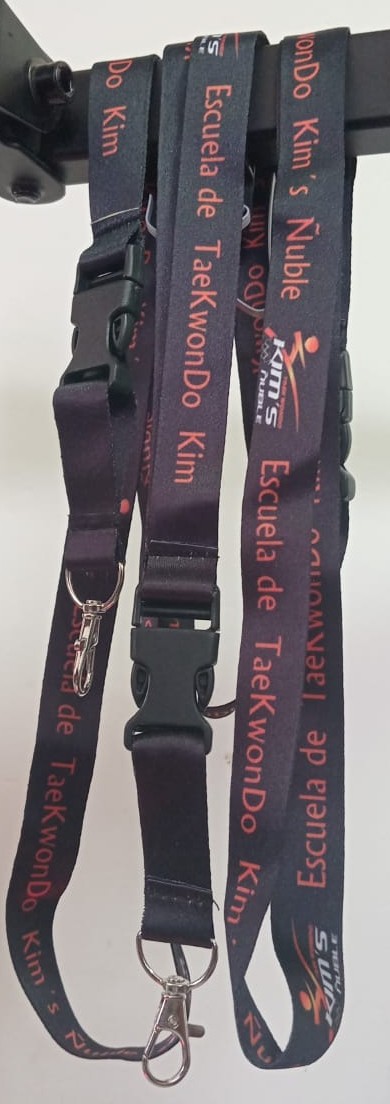 Lanyard